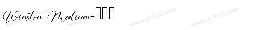 Winston Medium字体转换